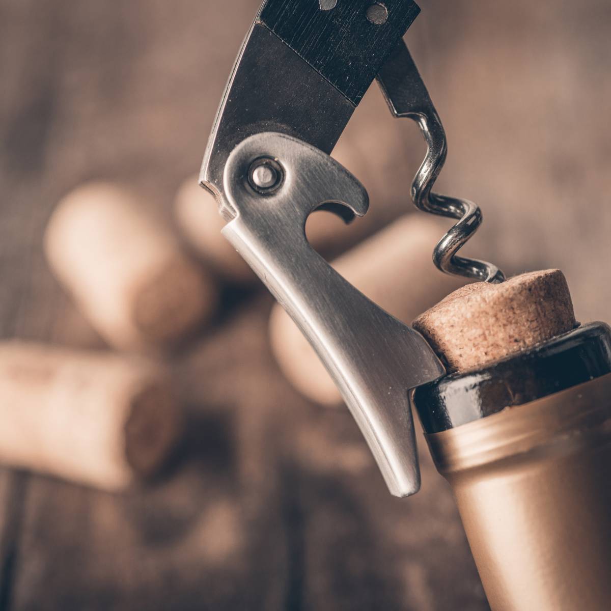 Bottle Openers & Corkscrews