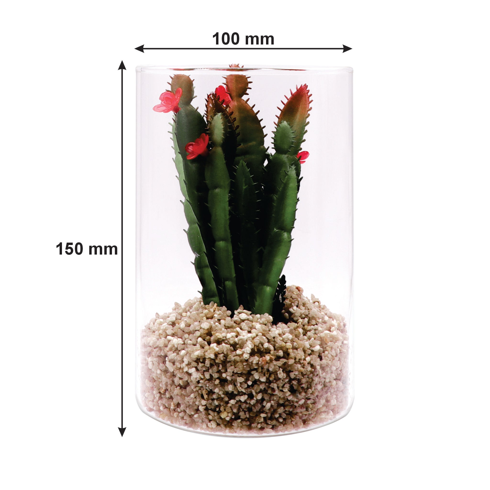 REGENT ARTIFICIAL SUCCULENT IN A CLEAR GLASS - LARGE