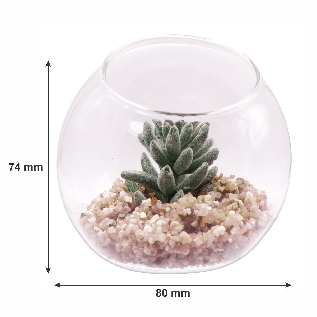 REGENT ARTIFICIAL SUCCULENT IN A CLEAR GLASS SPHERE - SMALL