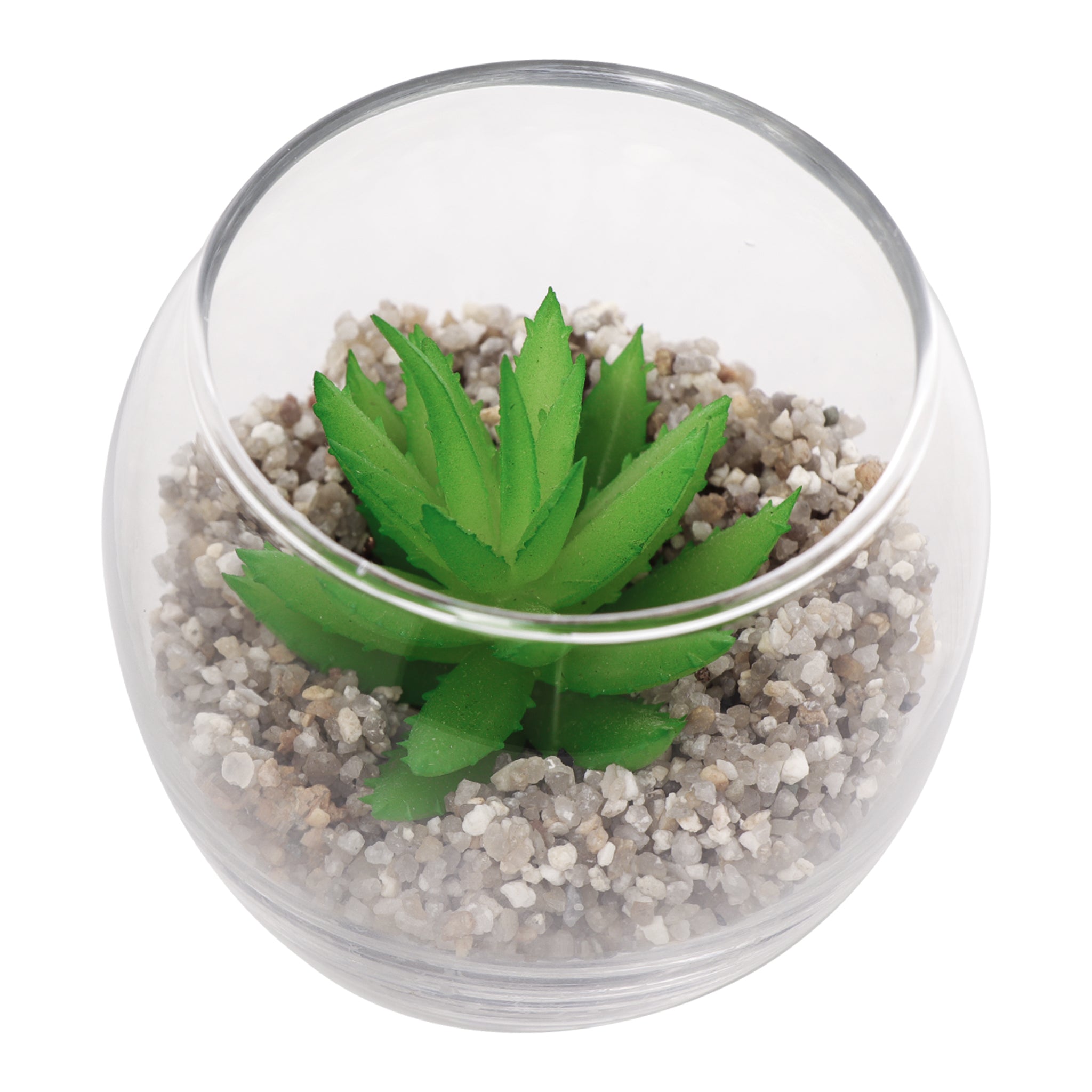 REGENT ARTIFICIAL SUCCULENT IN A CLEAR GLASS BOWL - SMALL