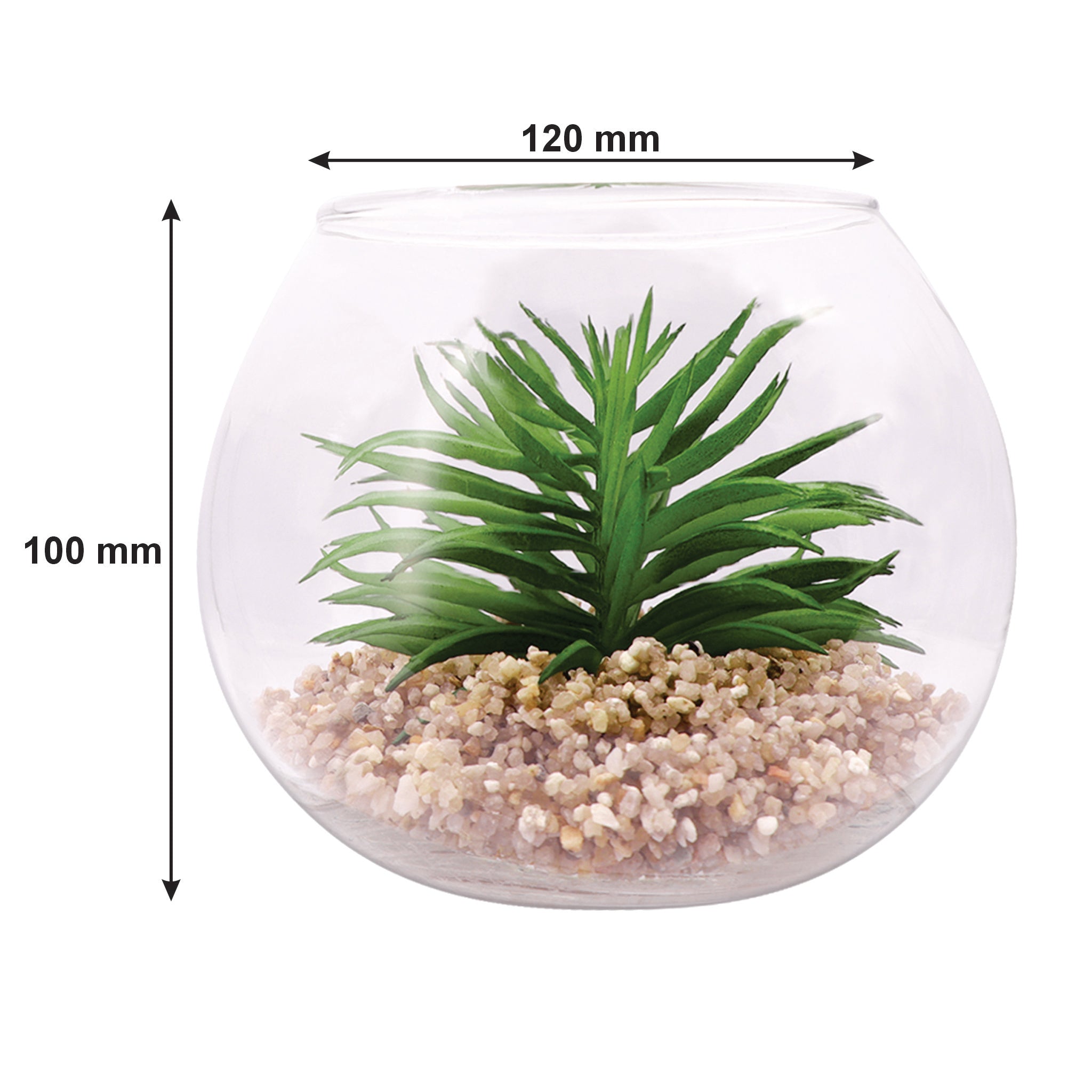 REGENT ARTIFICIAL SUCCULENT IN A CLEAR GLASS BOWL- LARGE