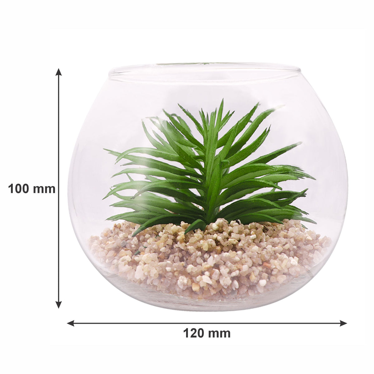 REGENT ARTIFICIAL SUCCULENT IN A CLEAR GLASS BOWL- LARGE, 120MM DIA