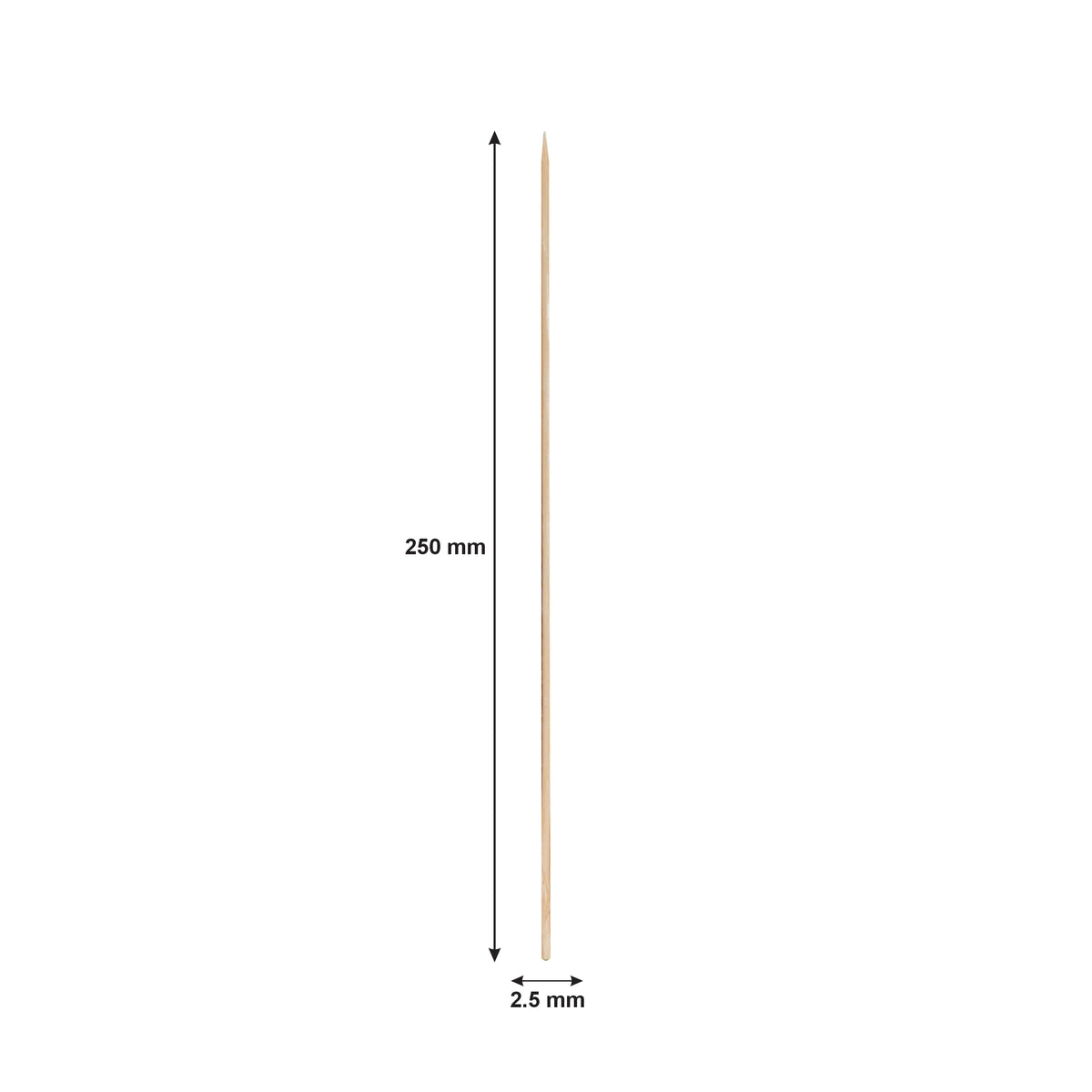 REGENT BAMBOO SKEWERS 100PK, 250MM