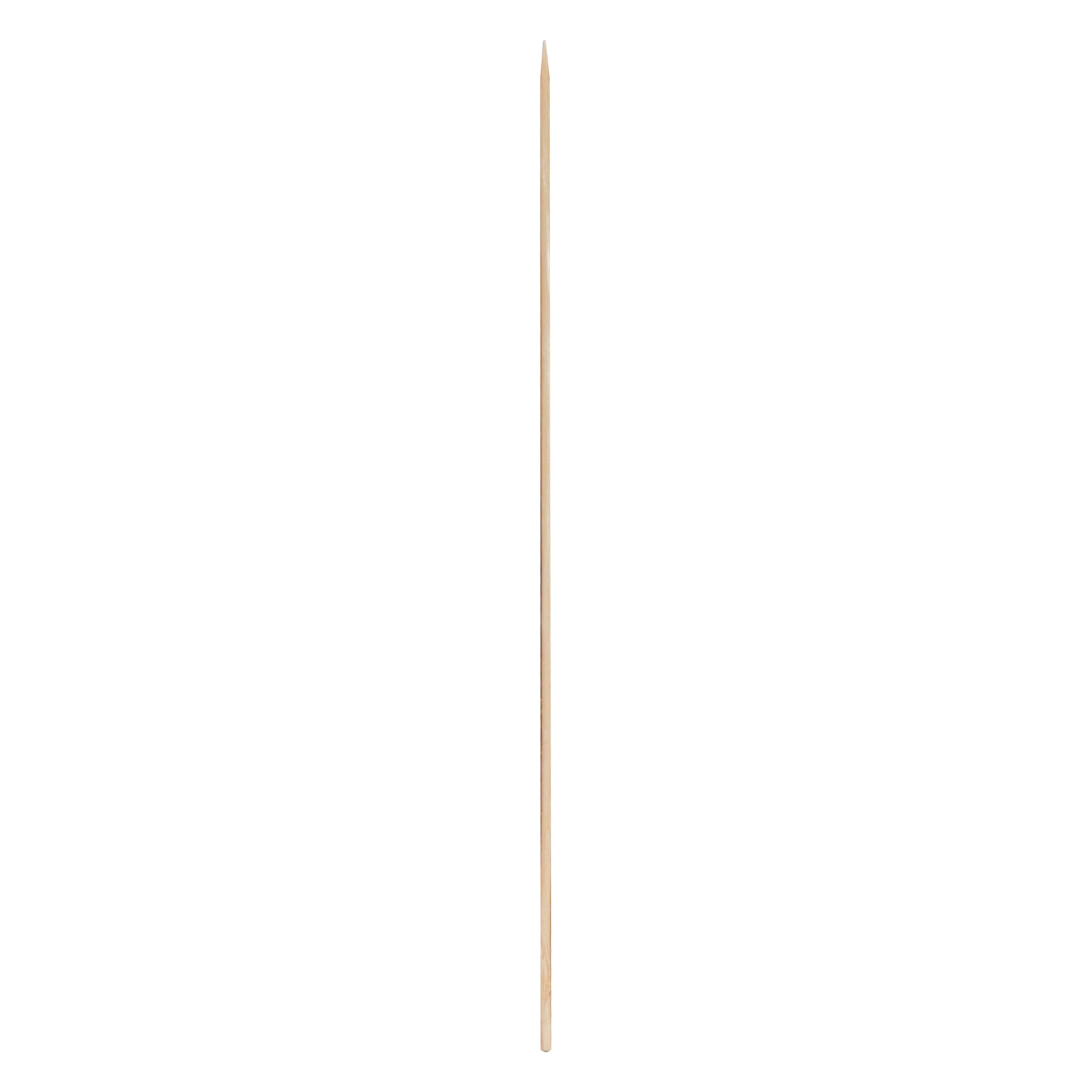 REGENT BAMBOO SKEWERS 100PK, 250MM