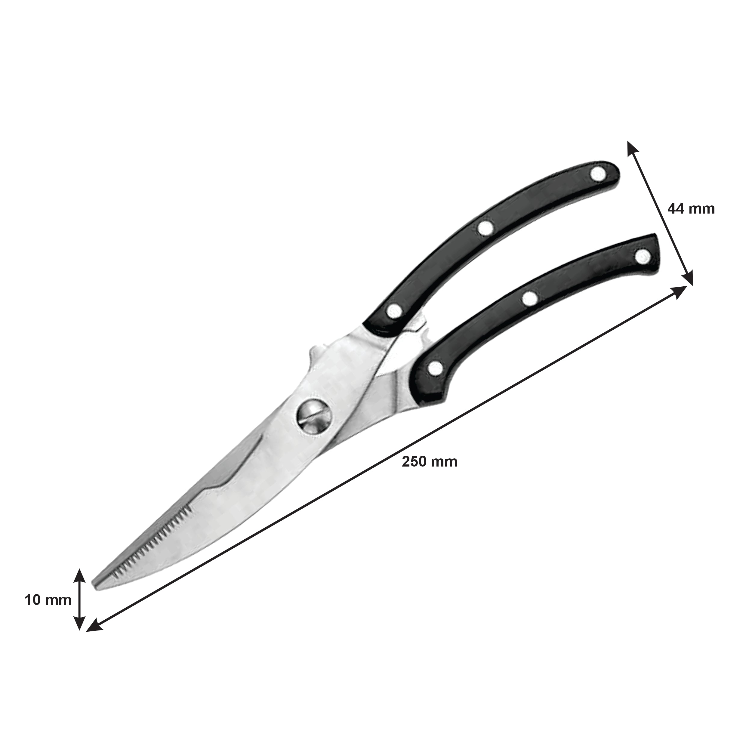 REGENT KITCHEN POULTRY SHEAR STAINLESS STEEL, 250MM