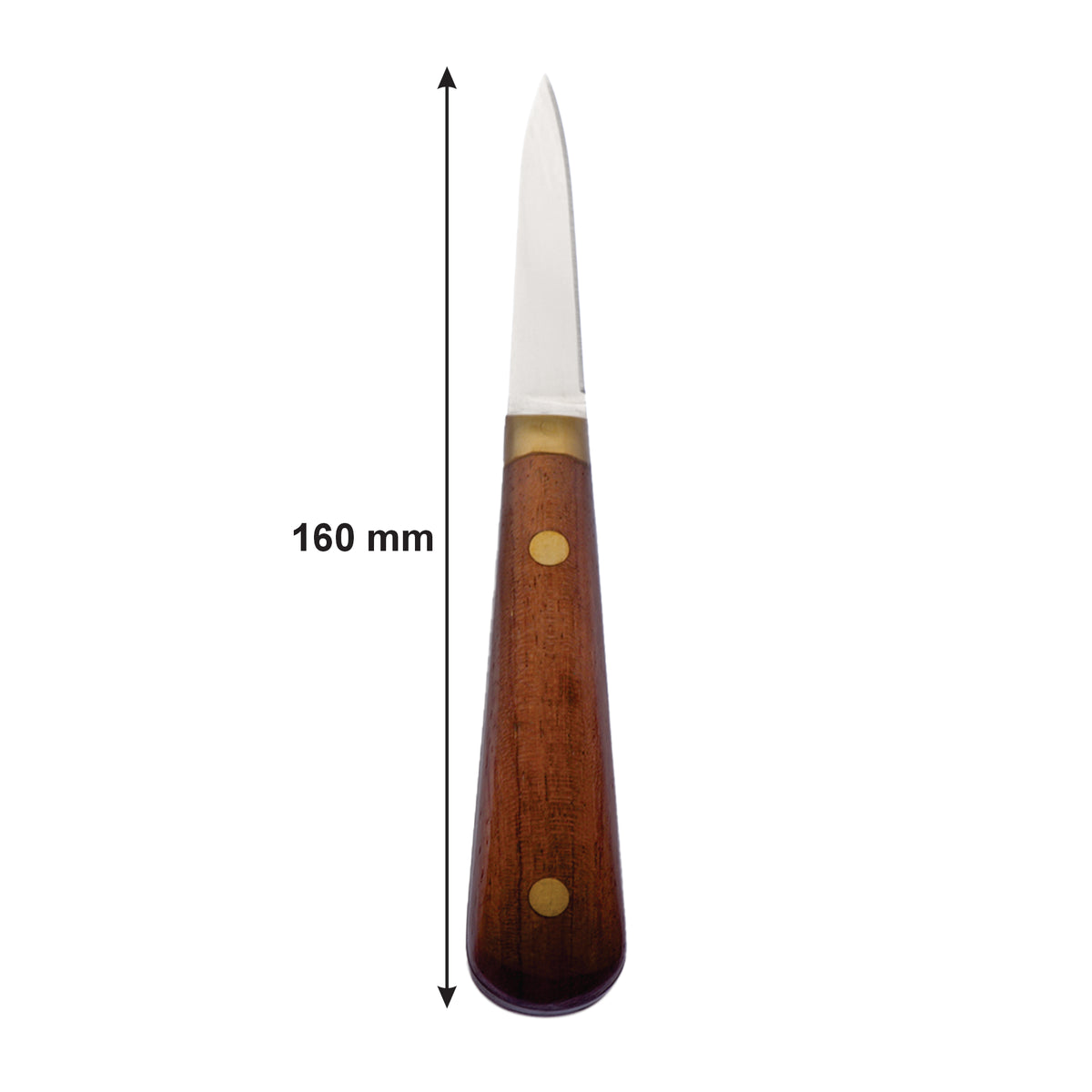REGENT KITCHEN OYSTER SHUCKING KNIFE WITH ROSEWOOD HANDLE, 160MM
