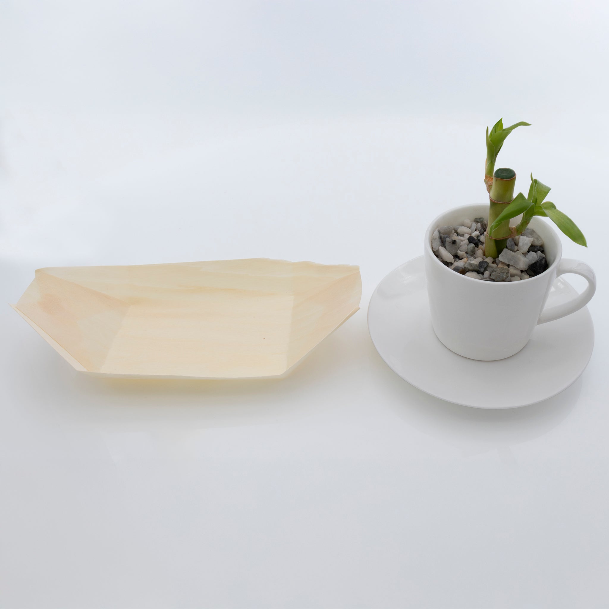 REGENT DISPOSABLE WOODEN BOAT LARGE 20PK, 220MM
