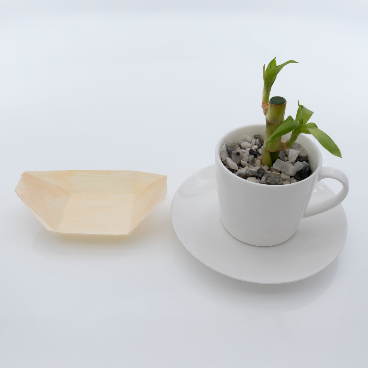 REGENT DISPOSABLE WOODEN BOATS SMALL 20PK