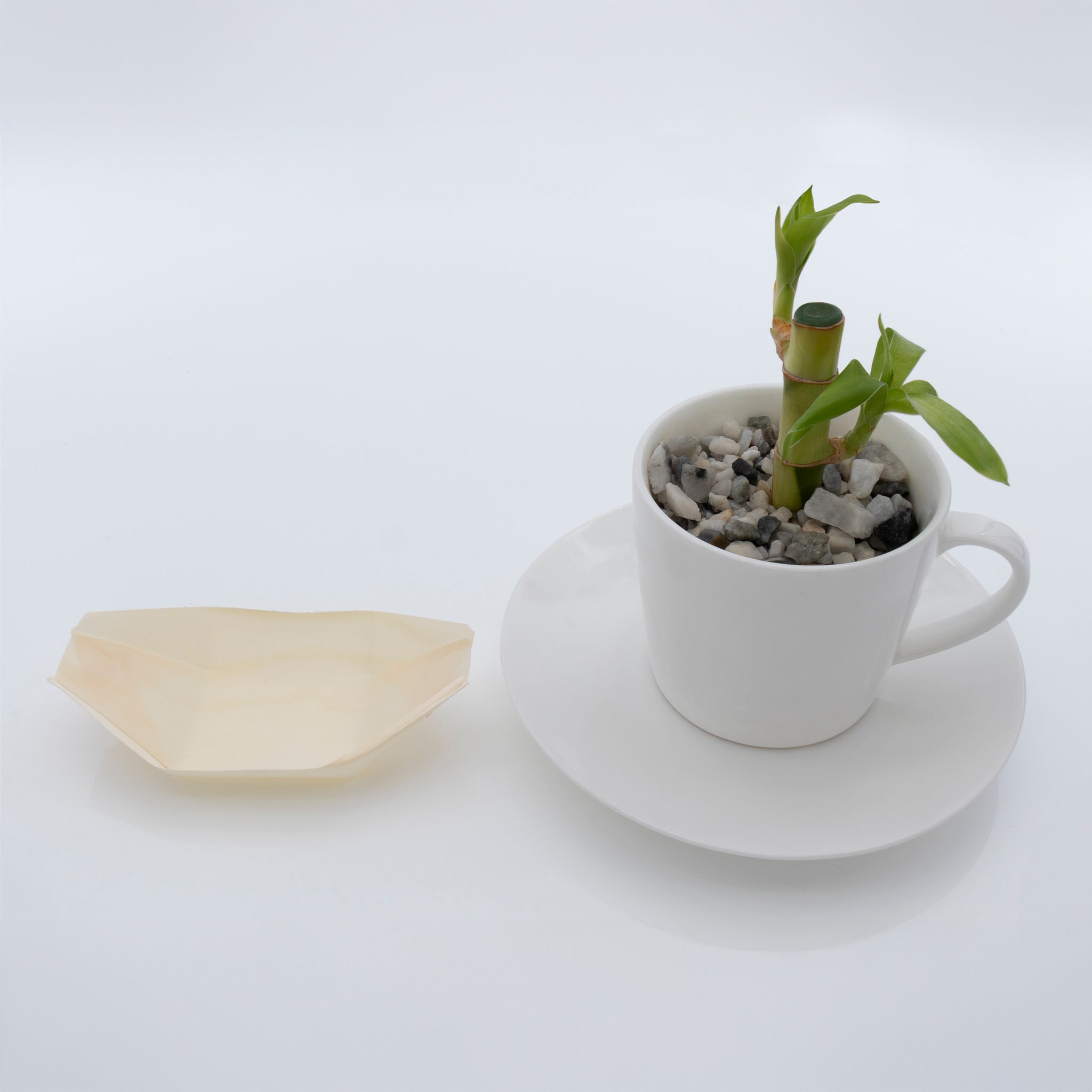 REGENT DISPOSABLE WOODEN BOATS MINI 20PK, 115MM
