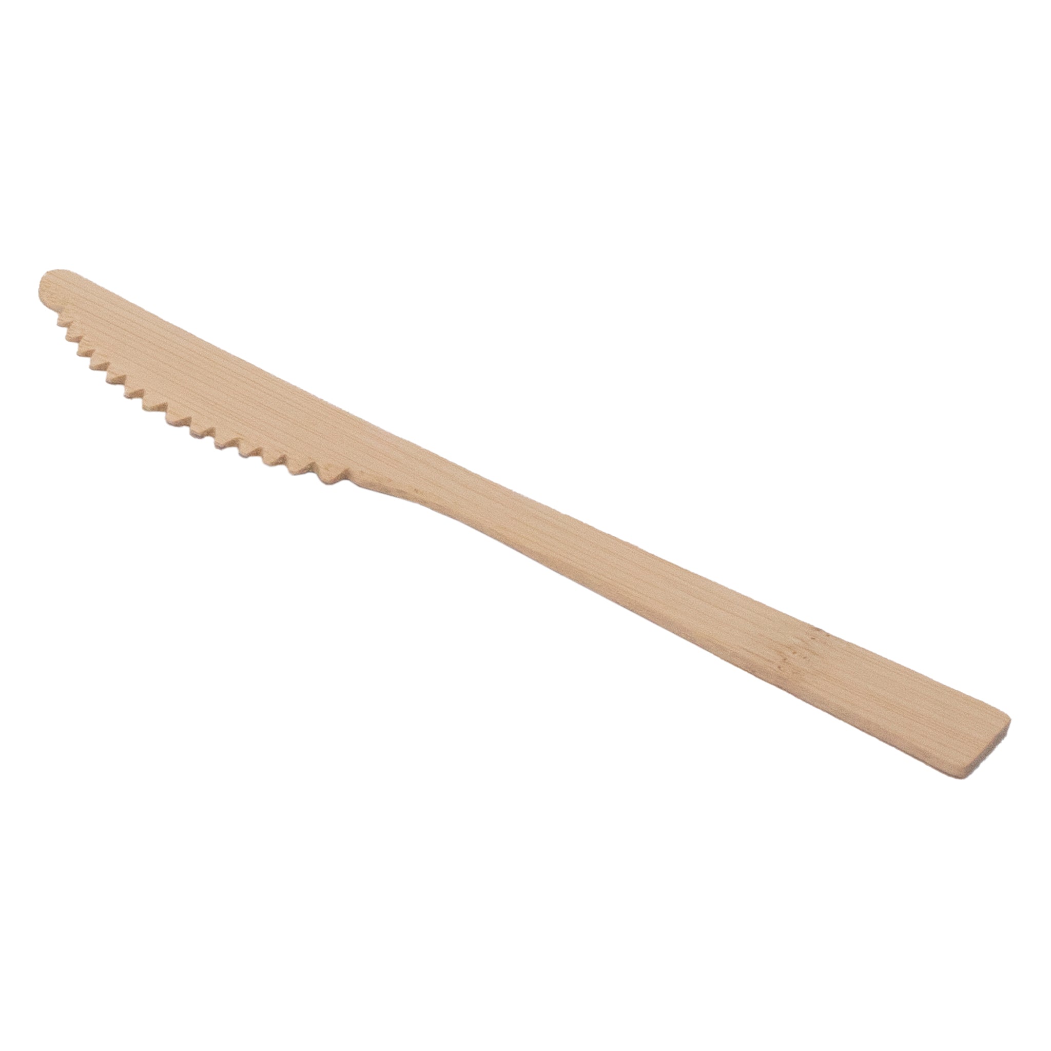 REGENT DISPOSABLE BAMBOO KNIVES 12PK, 170MM