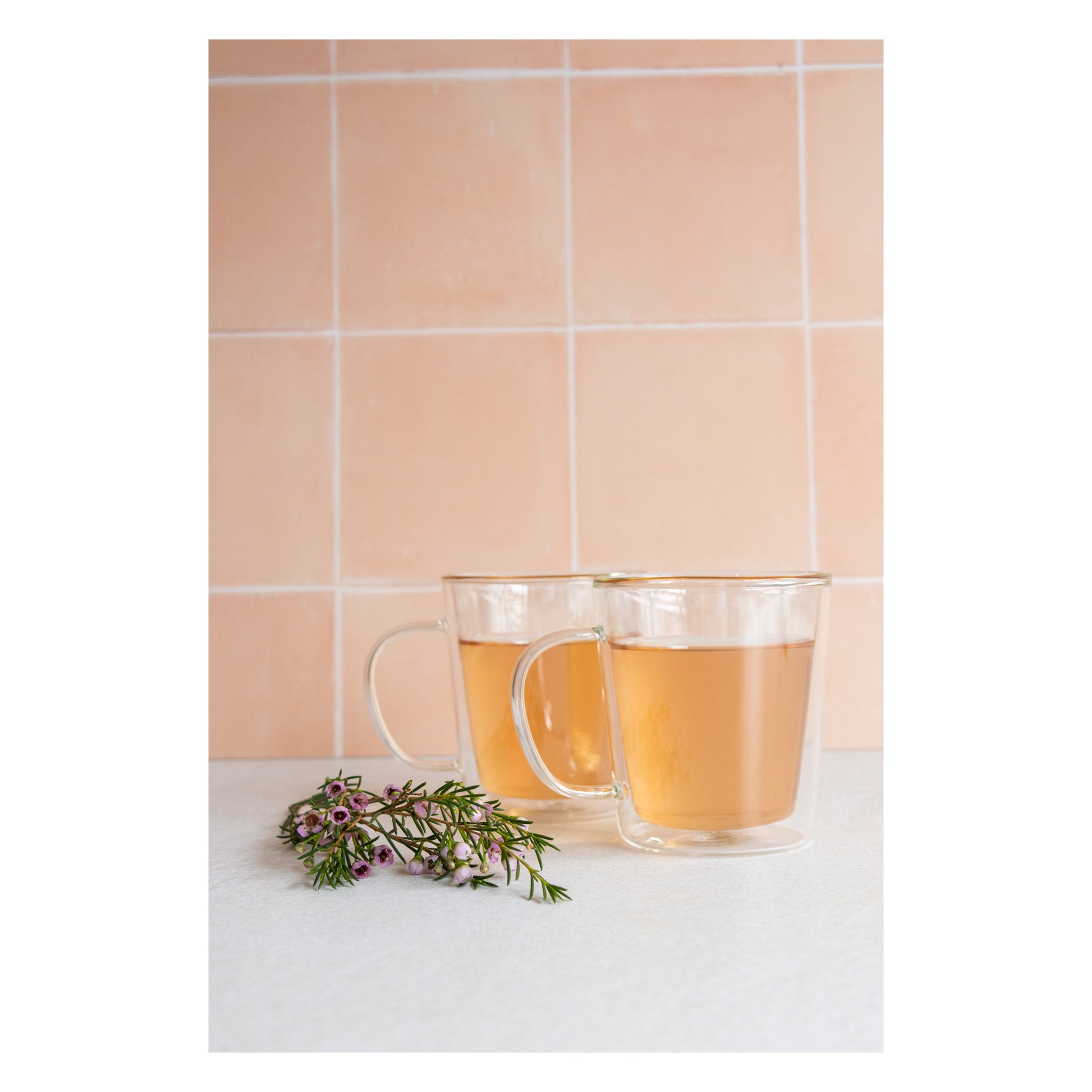 CONSOL ROMA DOUBLE WALL BOROSILICATE GLASS TEA/COFFEE MUG 2PK, 320ML