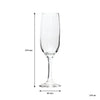 REGENT STEMMED CHAMPAGNE FLUTE GLASSES 4PK, 215ML
