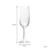 REGENT STEMMED CHAMPAGNE FLUTE 4 PACK, (215ML)