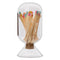 REGENT GLASS MATCHSTICK CLOCHE WITH STRIKER - INCLUDES 40 LONG-STEM MATCHES