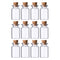 REGENT GLASS BOTTLES WITH CORK LIDS 12PCS, 15ML (22MM DIAX53MM)