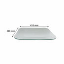 REGENT RECTANGULAR PLATTER BUBBLE GLASS - LARGE