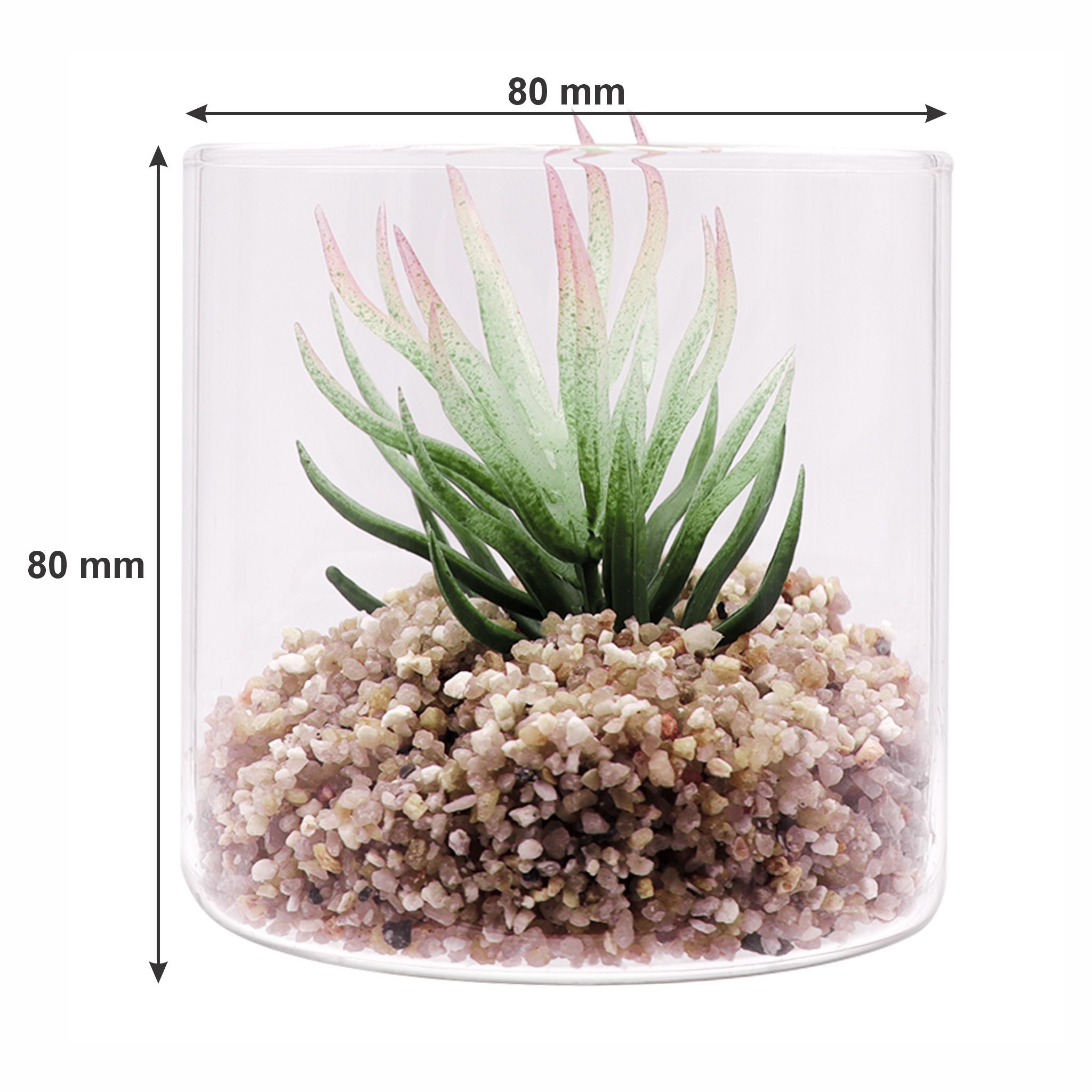 REGENT ARTIFICIAL SUCCULENT IN A CLEAR GLASS - SMALL