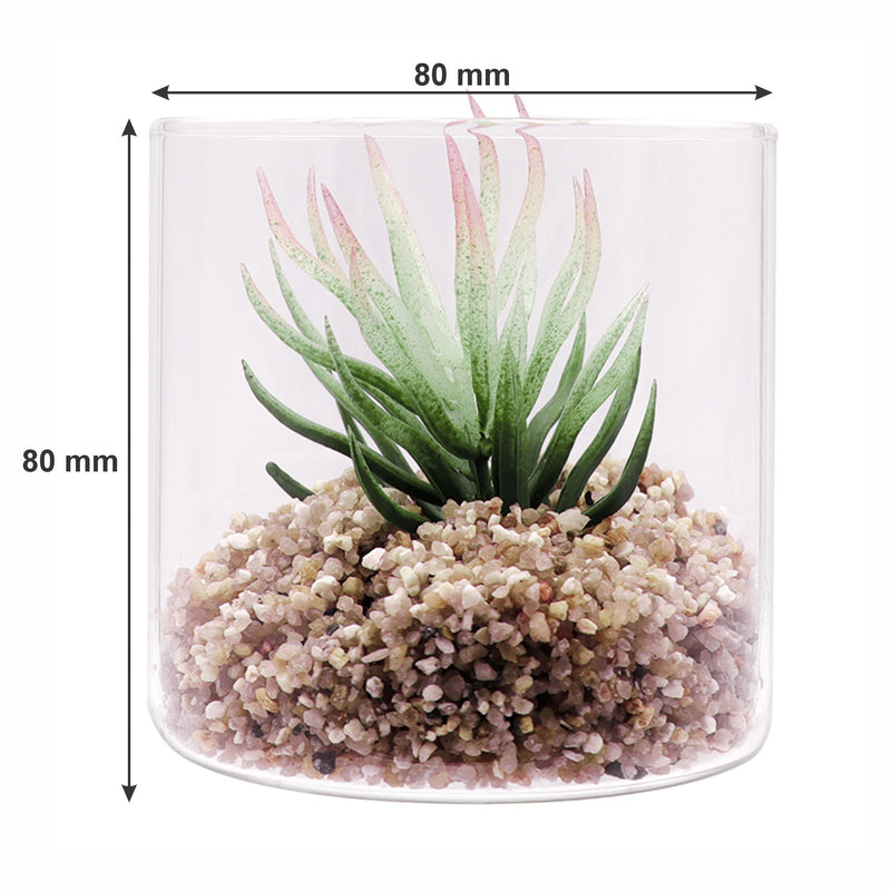 REGENT ARTIFICIAL SUCCULENT IN A CLEAR GLASS - SMALL