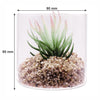 REGENT ARTIFICIAL SUCCULENT IN A CLEAR GLASS - SMALL