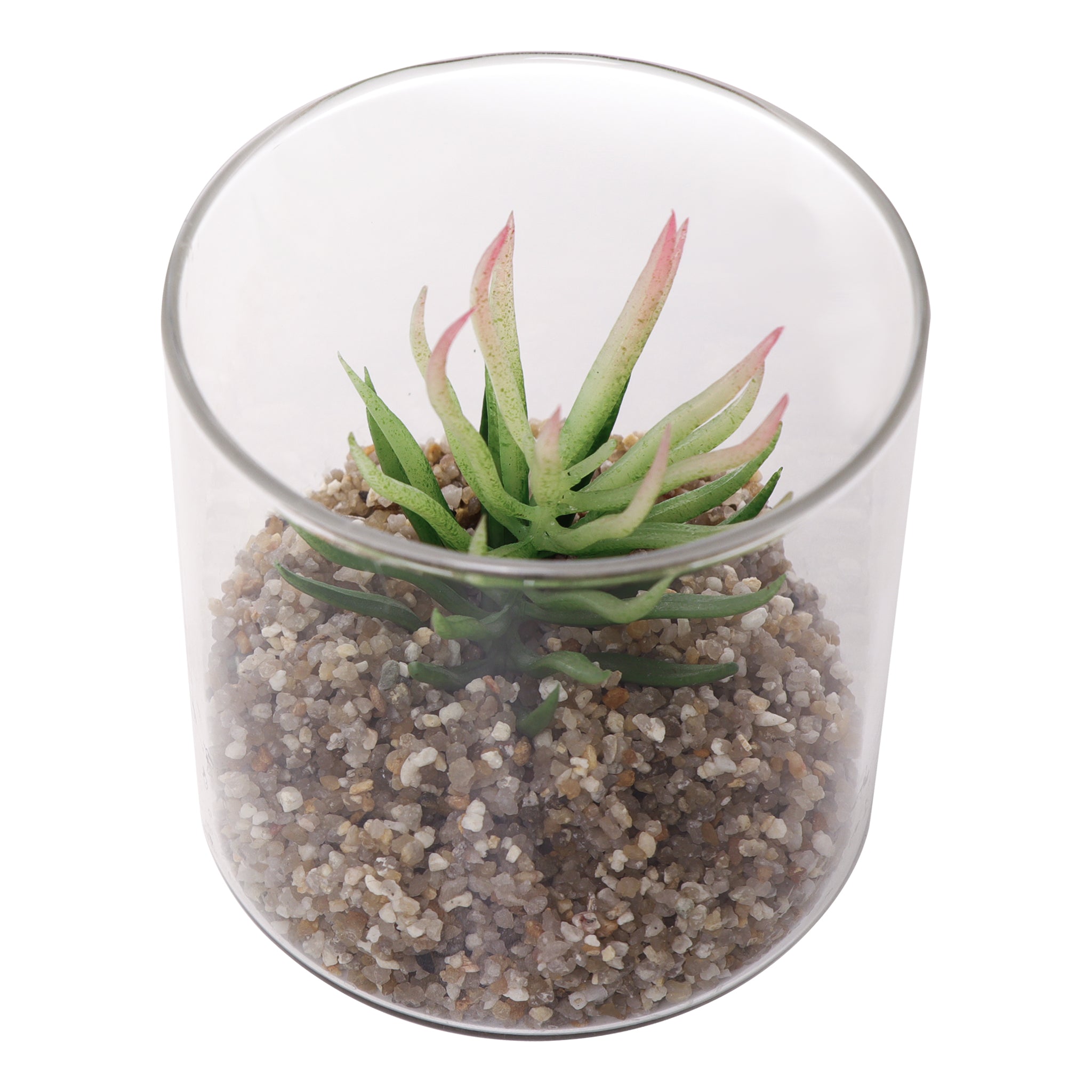 REGENT ARTIFICIAL SUCCULENT IN A CLEAR GLASS - SMALL