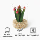 REGENT ARTIFICIAL SUCCULENT IN A CLEAR GLASS - LARGE