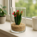 REGENT ARTIFICIAL SUCCULENT IN A CLEAR GLASS - LARGE
