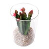 REGENT ARTIFICIAL SUCCULENT IN A CLEAR GLASS - LARGE