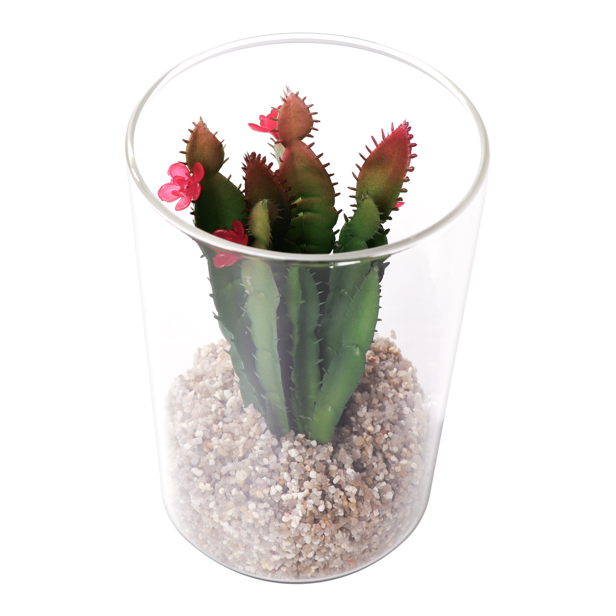 REGENT ARTIFICIAL SUCCULENT IN A CLEAR GLASS - LARGE