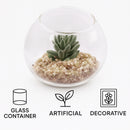 REGENT ARTIFICIAL SUCCULENT IN A CLEAR GLASS SPHERE - SMALL