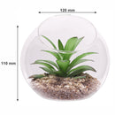 REGENT ARTIFICIAL SUCCULENT IN A CLEAR GLASS SPHERE - LARGE