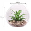REGENT ARTIFICIAL SUCCULENT IN A CLEAR GLASS SPHERE - LARGE