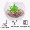 REGENT ARTIFICIAL SUCCULENT IN A CLEAR GLASS BOWL - SMALL