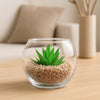 REGENT ARTIFICIAL SUCCULENT IN A CLEAR GLASS BOWL - SMALL