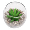 REGENT ARTIFICIAL SUCCULENT IN A CLEAR GLASS BOWL - SMALL