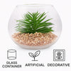 REGENT ARTIFICIAL SUCCULENT IN A CLEAR GLASS BOWL- LARGE
