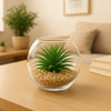 REGENT ARTIFICIAL SUCCULENT IN A CLEAR GLASS BOWL- LARGE