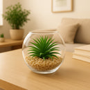REGENT ARTIFICIAL SUCCULENT IN A CLEAR GLASS BOWL- LARGE