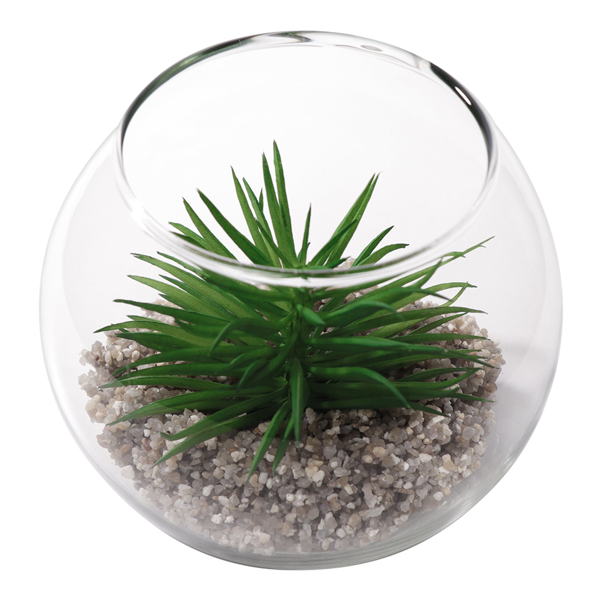 REGENT ARTIFICIAL SUCCULENT IN A CLEAR GLASS BOWL- LARGE