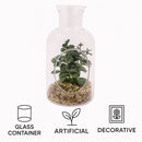 REGENT ARTIFICIAL SUCCULENT IN A CLEAR GLASS BOTTLE