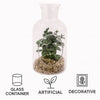 REGENT ARTIFICIAL SUCCULENT IN A CLEAR GLASS BOTTLE