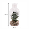 REGENT ARTIFICIAL SUCCULENT IN A CLEAR GLASS BOTTLE
