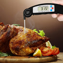 REGENT INSTANT READ DIGITAL THERMOMETER -50 DEG. C TO +300 DEG. C