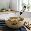 REGENT DIGITAL THERMOMETER -50 DEG. C TO +300 DEG. C WITH CLIP
