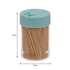 REGENT BAMBOO TOOTHPICKS IN A DISPENSER 300PK