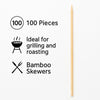 REGENT BAMBOO SKEWERS 100PK, 250MM