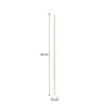 REGENT BAMBOO SKEWERS 100PC, (250X2.5MM DIA)