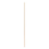 REGENT BAMBOO SKEWERS 100PK, 250MM
