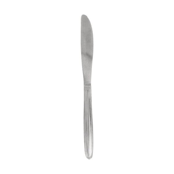 REGENT CUTLERY AUSTWIND (ELOFF) TABLE KNIFE ST STEEL, 1 DOZ
