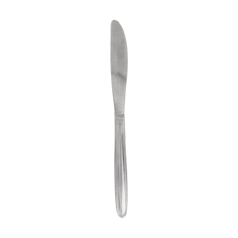 REGENT CUTLERY AUSTWIND (ELOFF) TABLE KNIFE ST STEEL, 1 DOZ