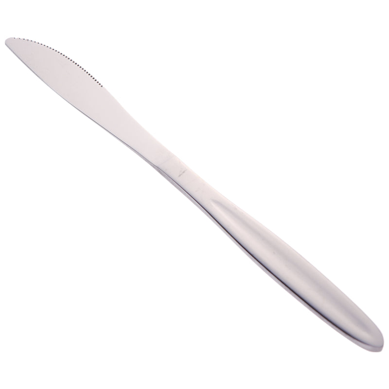 REGENT CUTLERY AUSTWIND (ELOFF) TABLE KNIFE ST STEEL, 2PC HANG PACK